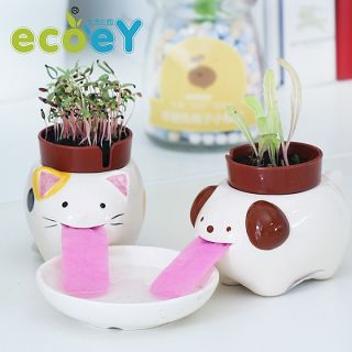 懒人新奇特 韩国家居生活小用品的创意实用美学